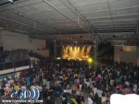 reggae01_small.jpg