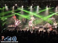 reggae02_small.jpg