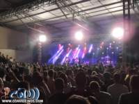 reggae08_small.jpg