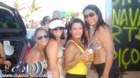 pontal184_small.jpg