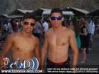 davidguetta102_small.jpg