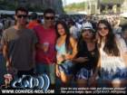 davidguetta17_small.jpg