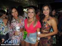 festeja109_small.jpg