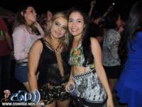 festeja145_small.jpg