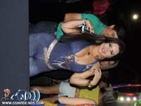 festeja146_small.jpg