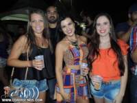 festeja153_small.jpg