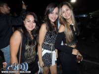 festeja173_small.jpg
