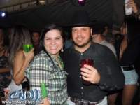 festeja291_small.jpg