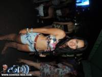 festeja323_small.jpg