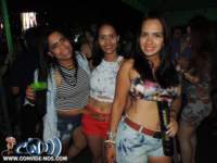 festeja325_small.jpg