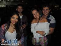festeja333_small.jpg