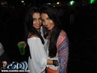 festeja335_small.jpg