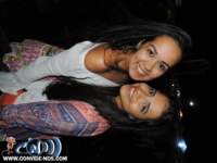 festeja336_small.jpg