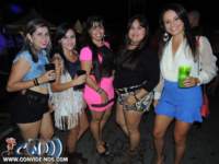 festeja83_small.jpg