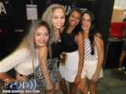 festeja133_small.jpg