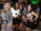 festeja52_small.jpg