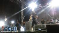 rappa06_small.jpg